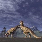 Study Recommends 4 Hours of Physical Activity, 8 Hours of Sleep for Optimal Health