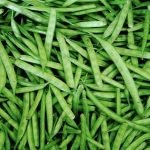 Praggnanandhaa Faces Tall Order Against Caruana in Norway Chess