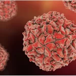 Mohan Charan Majhi Pays Floral Tributes to Odisha’s Icons Ahead of Swearing-In