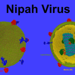 Odisha Enforces Fire Safety Norms for School Buses