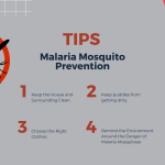 PM Modi Launches Rs 660 Cr Railway Projects, Flags Off Vande Bharat Trains