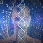 Harshit Rana has potential to become a multi-format bowler for India: Coach Negi