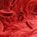 Odisha’s Forests Overcrowded with Elephants, Rising Human-Animal Conflicts: Officials Raise Concerns