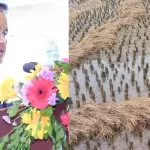 3 Accused of Religious Conversion Tied to Tree, Beaten in Odisha