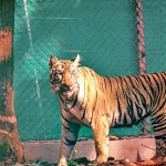 Odisha CM Hails ISRO for PSLV-C60 Launch Success