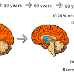 Study Finds Gluten-Free Foods Often Higher in Calories and Sugar, Lower in Nutrition