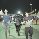 Odisha Congress Revokes Expulsions, Announces Padayatra