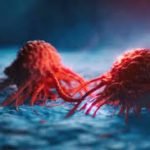 Study Warns of Decline in India’s Solar Power Potential Due to Pollution, Climate Change