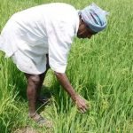 Odisha Yatri Super App Revolutionizes Travel