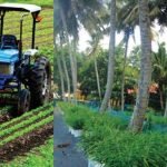 Diksha Wins Second Gold; Northeast Shines