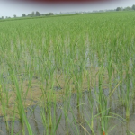 India Seeks UN Sanctions on TRF