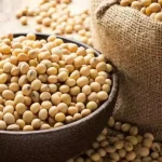 Paramvir Cheema Takes Measured Steps