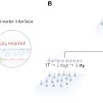 Odisha seeks expert-aid to curb deaths