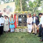 Raheel Strike Seals India’s Azlan Win