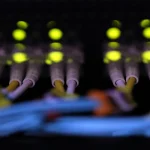 RBI Injects ₹50,000 Crore Liquidity Through OMO Purchase to Support Financial Markets