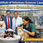 CM Majhi announces major irrigation plan