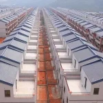 Six Lakh Lavender Seedlings Distributed Regionwide