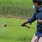 Jessica Capshaw Honors Late Eric Dane