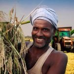 Odisha seizes 631 turtles; seven arrested