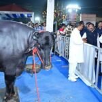 Odisha CM launches animal sector projects