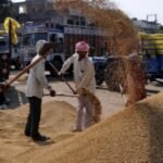 Modi lauds India’s global cheese wins